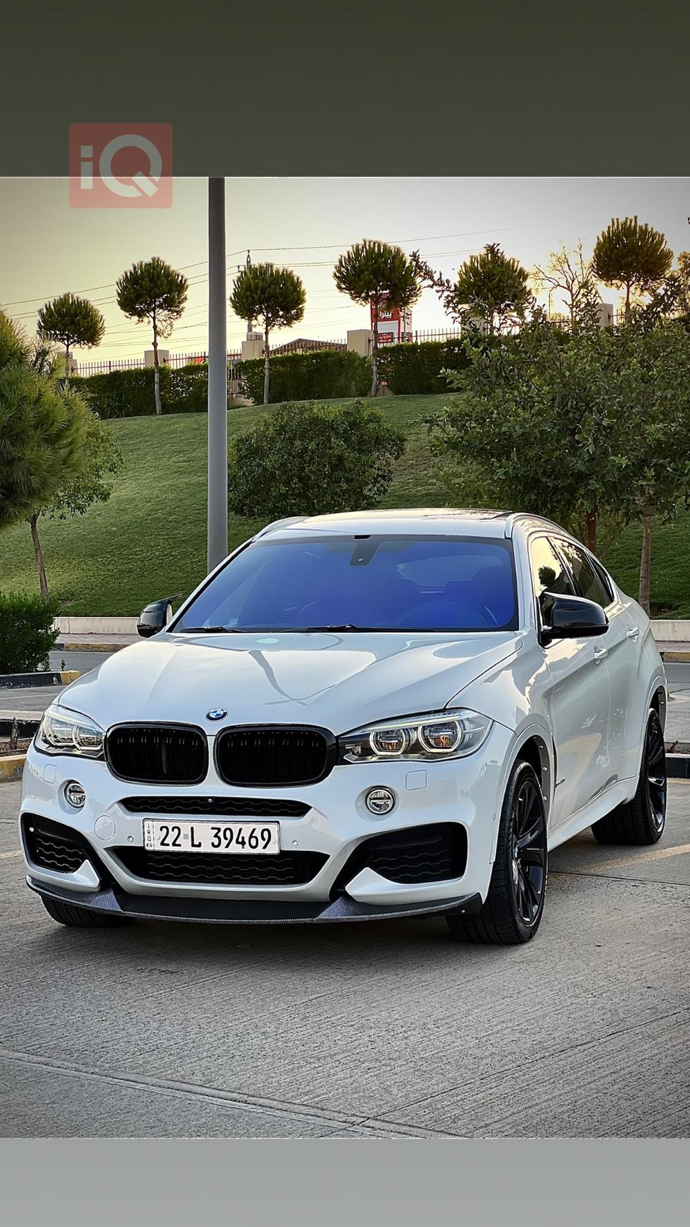 BMW X6